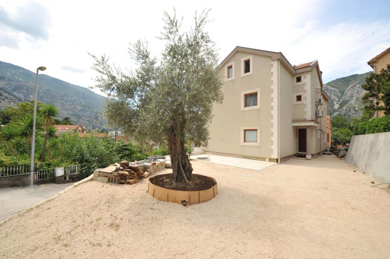 Apartments Olive Kotor Extérieur photo